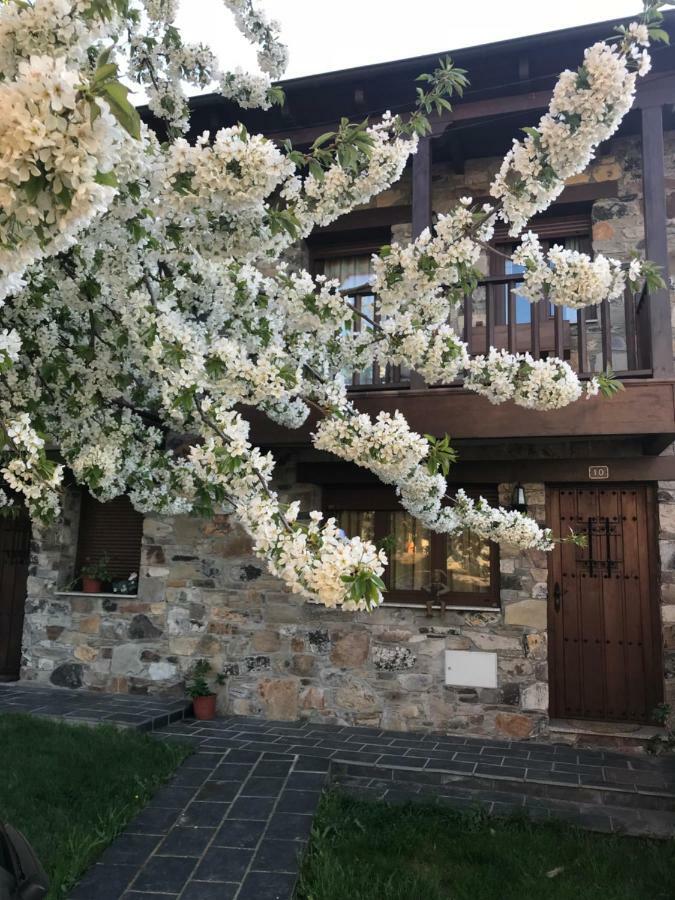 Casa Rural Magdalena Villa Espinareda de Vega Екстериор снимка